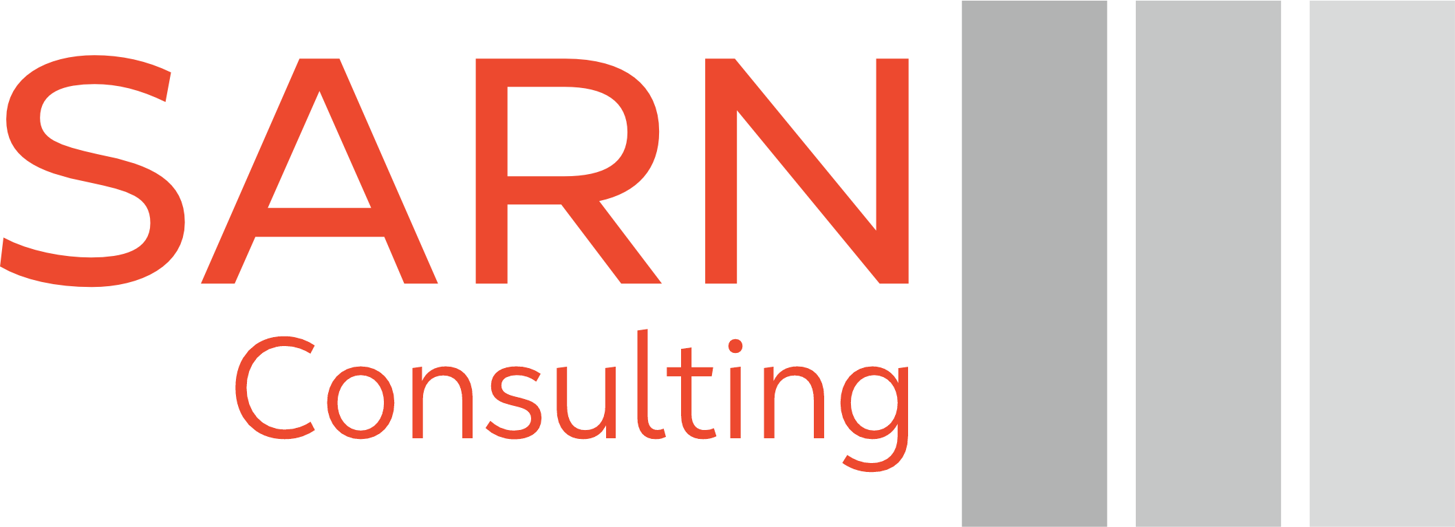 SARN CONSULTING